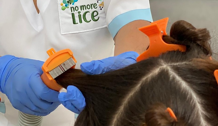 Debunking Hair Lice Myths: Facts And Fiction